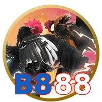 B888